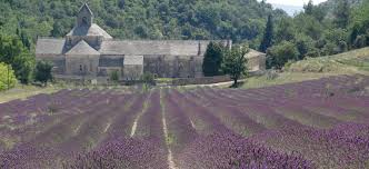 Der vielseitig einsetzbare lavendel ist in unterschiedlichen darreichungsformen erhältlich. Lavendel Provence Dr Schweikart Verlag