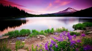 3d Nature Wallpapers Top Free 3d Nature Backgrounds Wallpaperaccess Sorry your screen resolution is not available for this wallpaper.