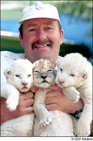 Alex Larenty holds triplet cubs, including two rare white lions, born at The Lion Park near Johannesburg, South Africa. A lion park near Johannesburg is ... - whtlions