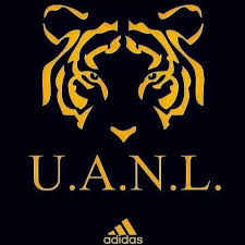Além do mais, o japão, que já era desenvolvido na época, investiu também nos tigres asiáticos, visando ampliar sua produção por fronteiras. Tigres U A N L Tigres4 Uanl Twitter