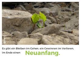 Zitate Die Lieben Menschen Trost Spenden Können