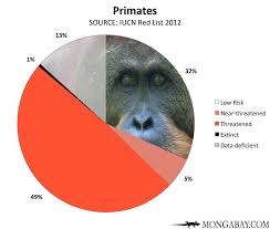 Chart Endangered Primates