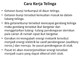 We did not find results for: Pembentukan Suara Dan Fisika Pendengaran Ppt Download