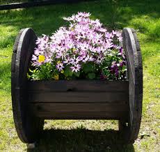 Diy Cable Reel Planter A Lovely New Addition To My Garden Diy Garden Projects Diy Garden Decor Garden Yard Ideas
