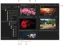 But you do need to export the final next steps after learning adobe premiere clip. Adobe Premiere Pro User Guide