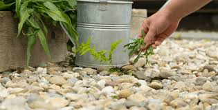 We did not find results for: How To Clean Maintain Decorative Garden Stones Decorative Aggregates