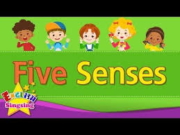 Kids Vocabulary Five Senses Learn English For Kids English Educational Video Youtube Learning English For Kids Kids English Learn English