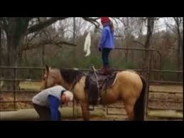 This is a big nice, gentle well broke gelding that is completely sound. Buckskin Quarter Horse Gelding For Sale In Nc Cheap 06 2021