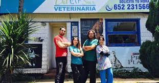 Veterinaria del Sur