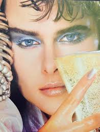 sandylintermakeup💄 Holidays 1995, I fell in love with Persian cats, and  rescued 4 of them! Myself with Traci. Such good natured kitties, I used to  take them all