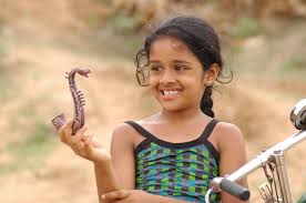 Hits delivered till date 4. Tamil Movie Child Actress Rakshana In Yaal Facebook