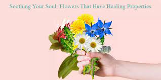 Flowers that represent strength and healing. Flowers For Healing And Strength Medicinal Flowers