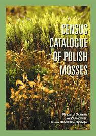 Image result for Habenaria splendentior