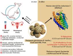 Image result for Thespesia garckeana