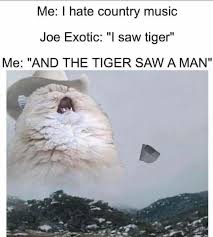 If you have, this collection the best tiger king memes is especially for you. Tiger King Memes Facebook