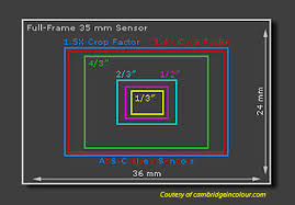 sensors today the digital sensor a guide to understanding