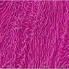 Plant cells are the basic unit and building blocks of life in organisms of the kingdom plantae. 1