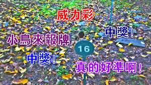 Рекламные программы всё о google google.com. å¨åŠ›å½© ä¸­çŽ å°é³¥ä¾†å ±ç‰Œ çœŸçš„å¥½æº–å•Š å½±éŸ³ å¨åŠ›å½©é–‹çŽ