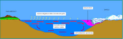Trasporta circa 57.000.000 m3 d'acqua calda al secondo. Corrente Del Golfo Aq Caput Frigoris