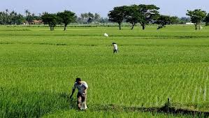 Situs ini sudah berdiri sejak tahun 2017 dan telah memasarkan berbagai jenis properti berupa tanah, ruko, gudang, villa, dsb. Jual Beli Tanah Online Home Facebook