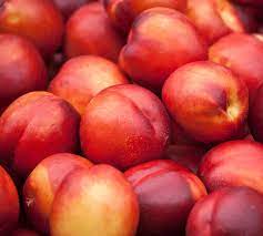 The nectarine looks the same as that of peach. Nectarine Tree Fertilizer Haifa Group