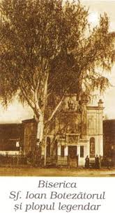 Primaria Orasului Valenii De Munte