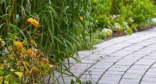 Kaum etwas ist in der kalten, nassen jahreszeit ärgerlich, als mit den guten schuhen durch den schlamm waten zu müssen, der sich von der haustür bis zum hoftor erstreckt. Ratgeber Garten Pflastersteine Schnell Und Einfach Reinigen