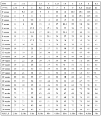 Yorkie Growth Chart Yorkie Puppy Weight Size Yorkie