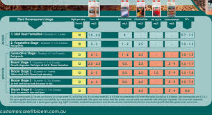 Feed Charts