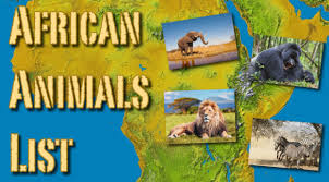 The list of african animals is very long and in this animalsake article i have tried to cover as many animals possible. African Jungle Animals List Animal List A To Z This Is A List Of Animals That Can Typically Be Found In Jungles Gubuk Pendidikan