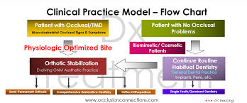 A Clinical Practice Model Flow Chart Occlusion Connections