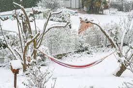 Il neige dans mon jardin. Il Neige Dans Mon Jardin Alain Molesti