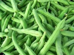 Freezing can't improve subpar beans — it can only suspend produce in its current place. Can You Freeze Fresh Green Beans Without Blanching Them