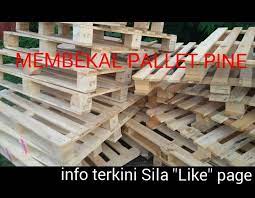 Check spelling or type a new query. Kayu Pallet Pine Home Facebook
