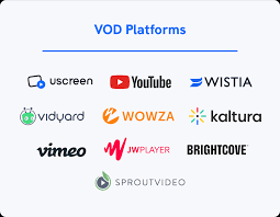 10 Best VOD Platforms for Your Video Streaming Business in 2023