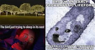 They're weird, they're wonderful, and the only thing that's certain is that they will make you laugh. Memebase Shitposts Page 5 All Your Memes In Our Base Funny Memes Cheezburger