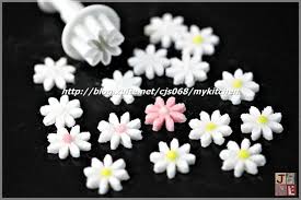棉花糖翻糖糖花 jane的歡樂廚房 隨意窩xuite日誌 floral rings floral cake fillings