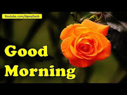 Good Morning Beautiful Video With Images Photos Gif Wallpapers Whatsapp Download Quotes Wishes Youtube The best gifs are on giphy. good morning beautiful video with images photos gif wallpapers whatsapp download quotes wishes