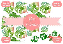 Download Tropical Box Graphic By Jgalluccio Creative Fabrica PSD Mockup Templates
