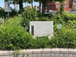 神田川」（南こうせつとかぐや姫）歌碑訪問―時代を越えて響き続ける名曲と若き頃 | にじのかなた さん