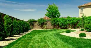 Our lawn care program is designed to keep your lawn looking green all season long. Best Lawn Care Services In Orlando Protex Lawn Care Pest Control