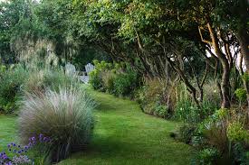 Can This Garden Be Saved My Garden Is Windy Gardenista Wind Break Garden Garden Design Grasses Garden