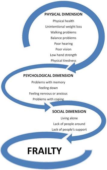 Multidimensional concept of frailty integrating various domains of... |  Download Scientific Diagram