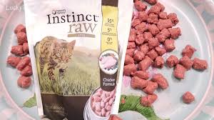 Purina one true instinct is a popular option in the middle of the wet cat foods price range. Nature S Variety Instinct Raw Frozen Cat Food Product Review And How To Feed Youtube