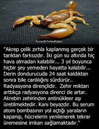 10b6877e0e02c4a8aef7451a374962ee Jpg 720 935 Piksel Bilgi Alintilari Bilgi Biliyor Muydunuz