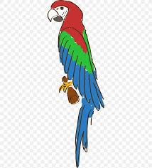 If you found this lesson too easy, check out our more challenging parrot lesson. Cartoon Galery Net Cartoon Parrot Drawing