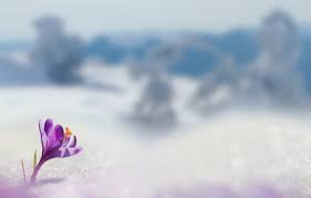 20 Names For Babies Born In March Baby Name Quest