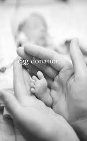 egg donor recipients giftedjourneys