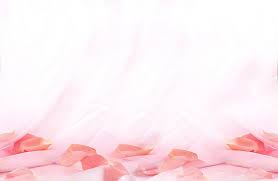 Pink Petal Flower Light Background Pink Background Images Lights Background Pink Petals