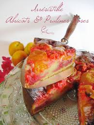 Irresistible Gateau Lyonnais Abricots Pralines Roses Recettes De Cuisine Alimentation Recette Cuisine Facile